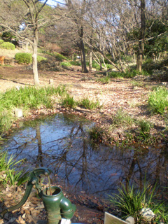 発掘した池