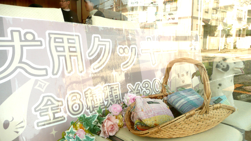 3/7（日）ハウスクエア横浜　「ワンワンフェスタ2010」すてっぷななさん手作り犬用クッキーサンプルプレゼント