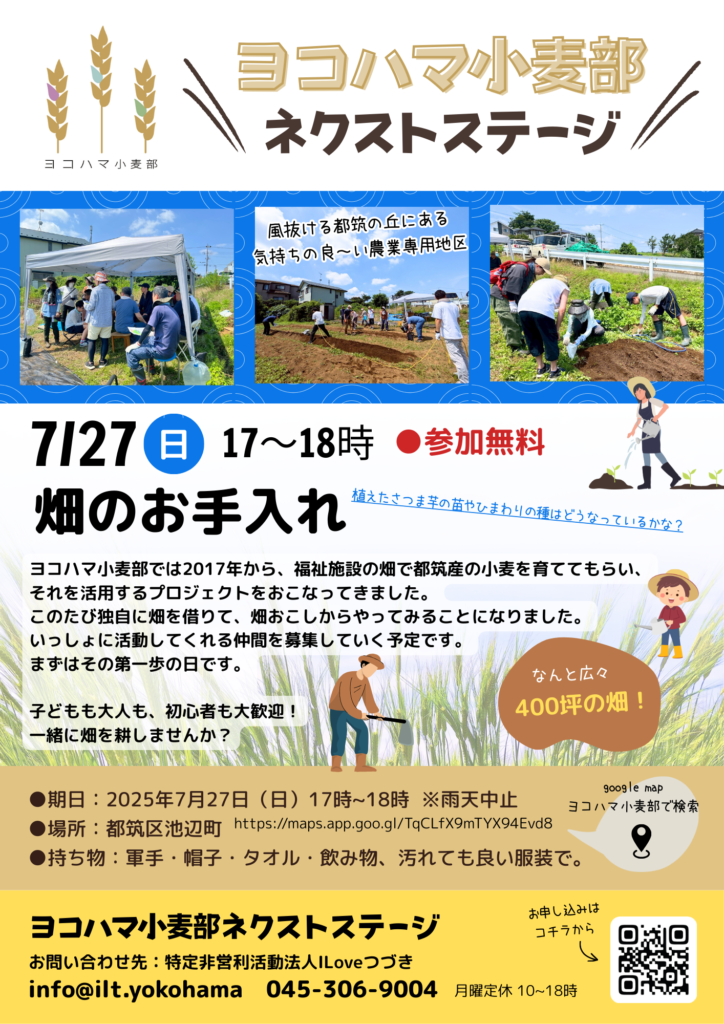 20250727ヨコハマ小麦部夕方の畑お手入れイベント
