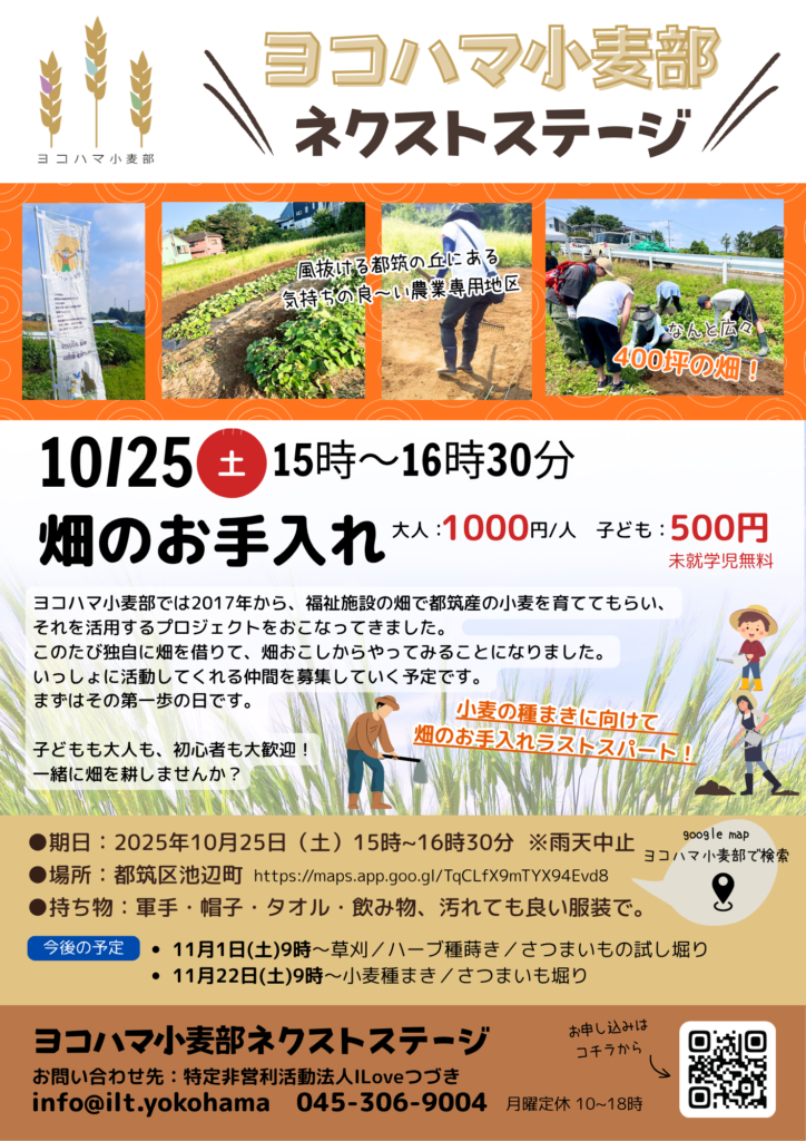 ヨコハマ小麦部ネクストステージ　10/28畑のお手入れ