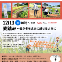 ヨコハマ小麦部　12月13日　イベント案内チラシ