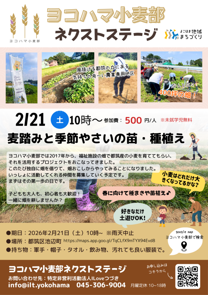 2026/2/21ヨコハマ小麦部活動チラシ