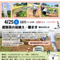 20260425ヨコハマ小麦部チラシ