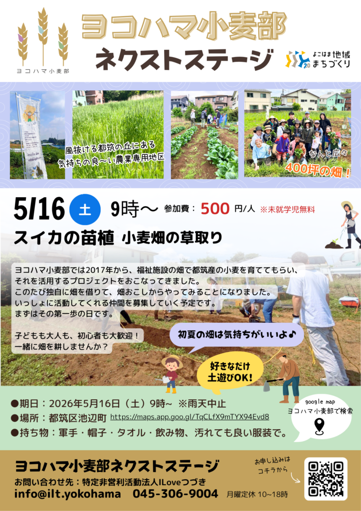 20260515開催ヨコハマ小麦部　スイカの苗植え 小麦畑の草取りのチラシ