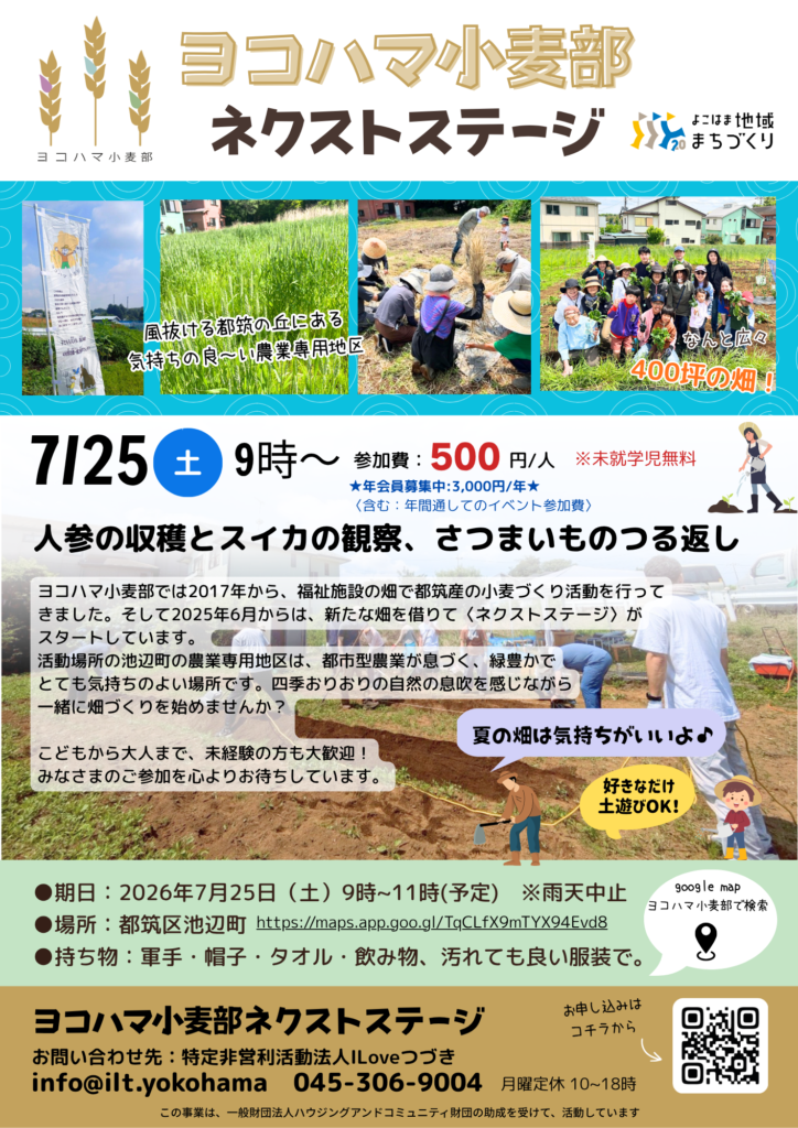 ヨコハマ小麦部 7/25 人参の収穫とスイカの観察薩摩芋の蔓がえし